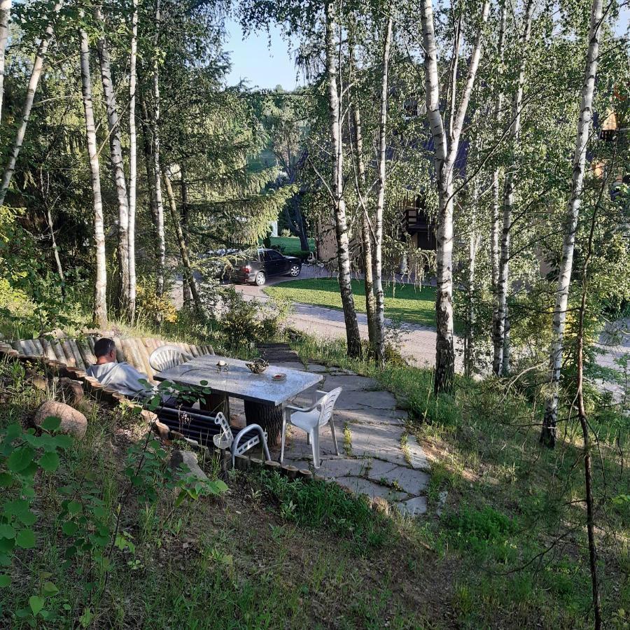 Agroturystyka Brzozowe Wzgorze Wlen Exterior foto